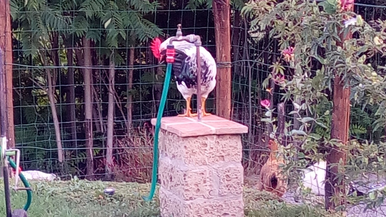 Photo of Outdoor in Montelovesco