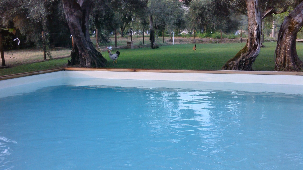 Photo of Outdoor in Montelovesco