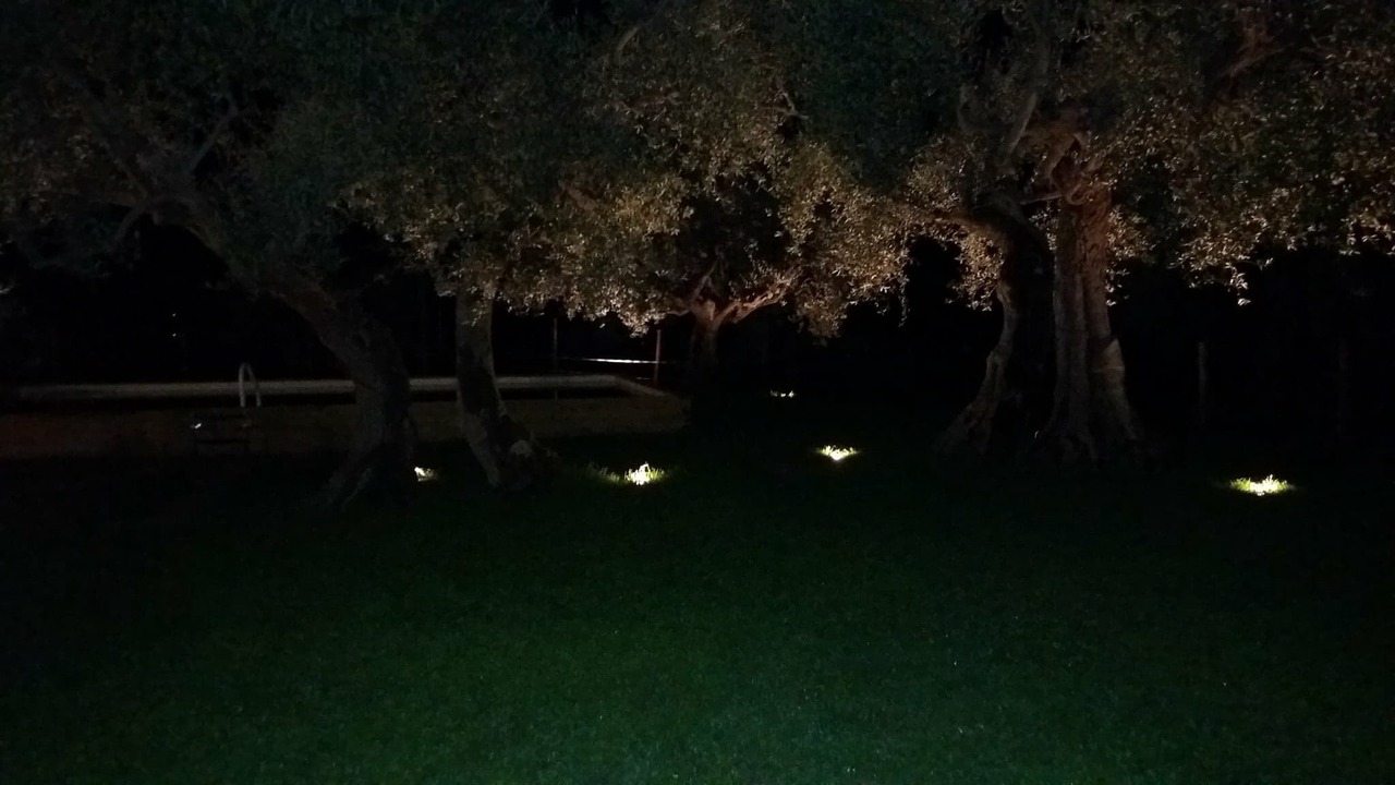 Photo of Outdoor in Montelovesco