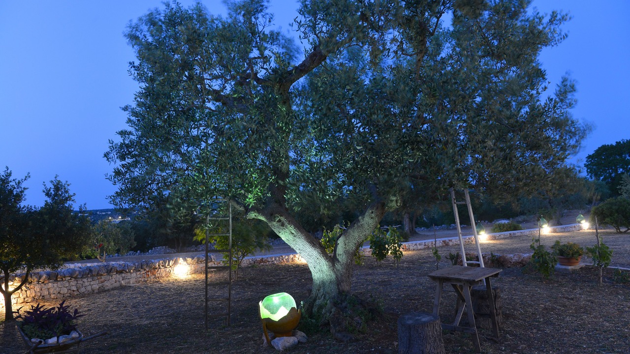 Photo of Outdoor in Cisternino
