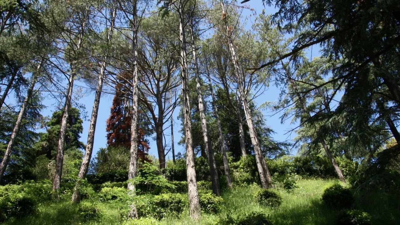 Photo of Others in Cicogna
