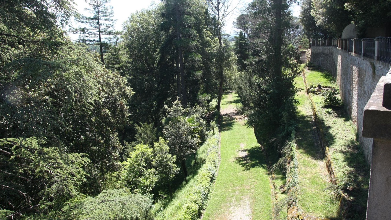 Photo of Others in Cicogna