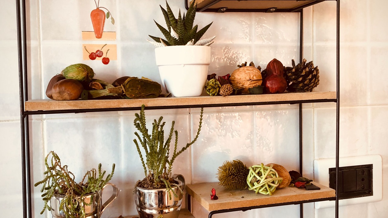 Photo of Kitchen in Gragnano