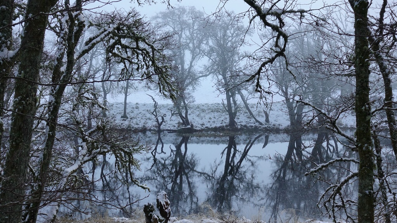 Photo of Others in Beauly