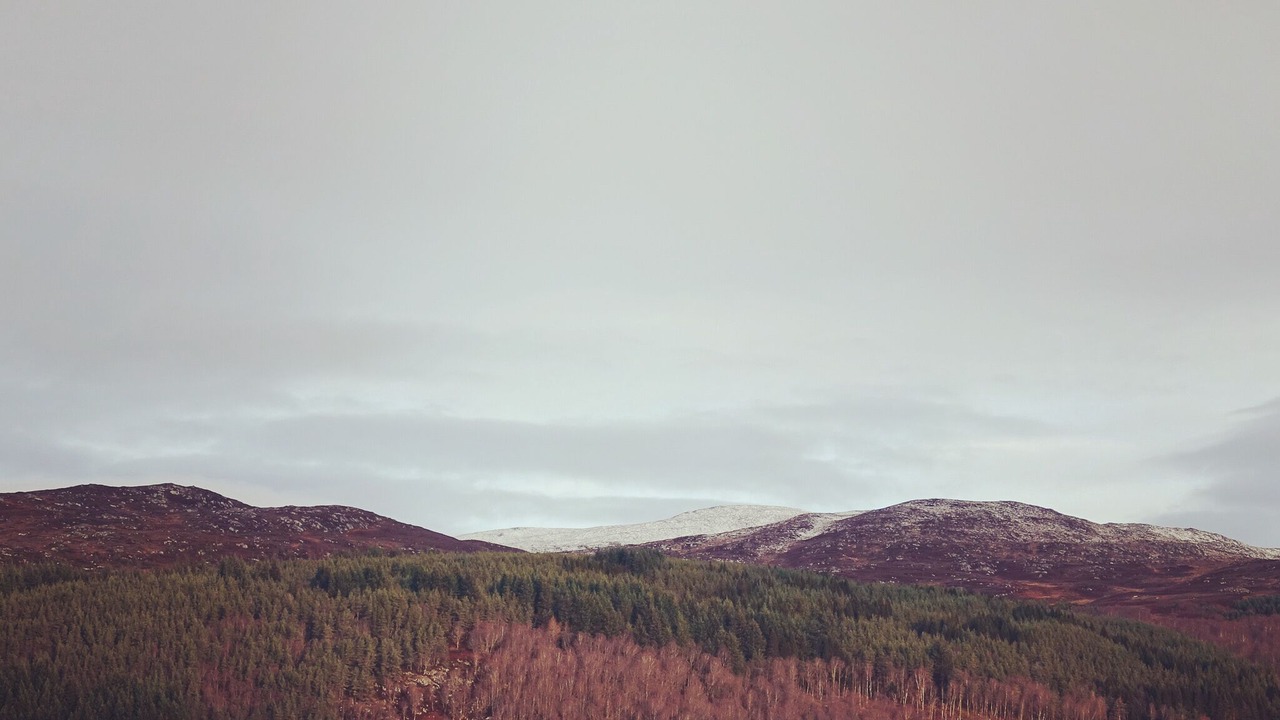 Photo of Others in Beauly