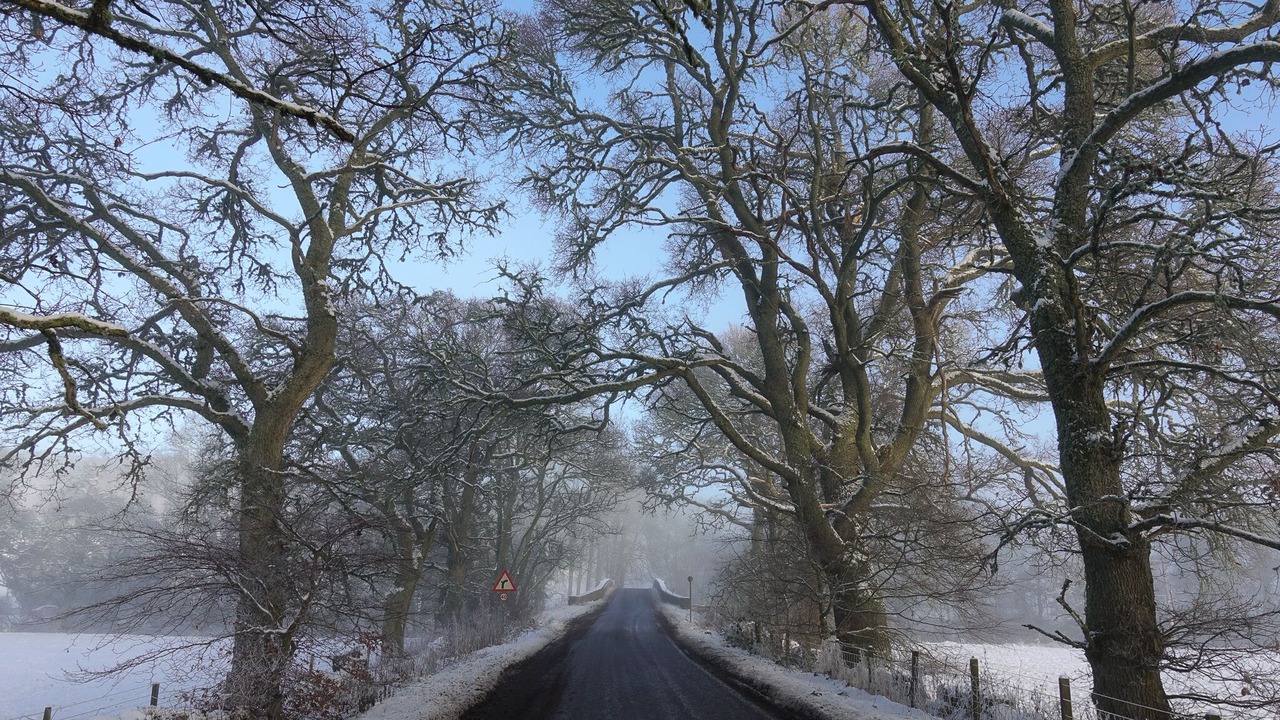 Photo of Outdoor in Beauly