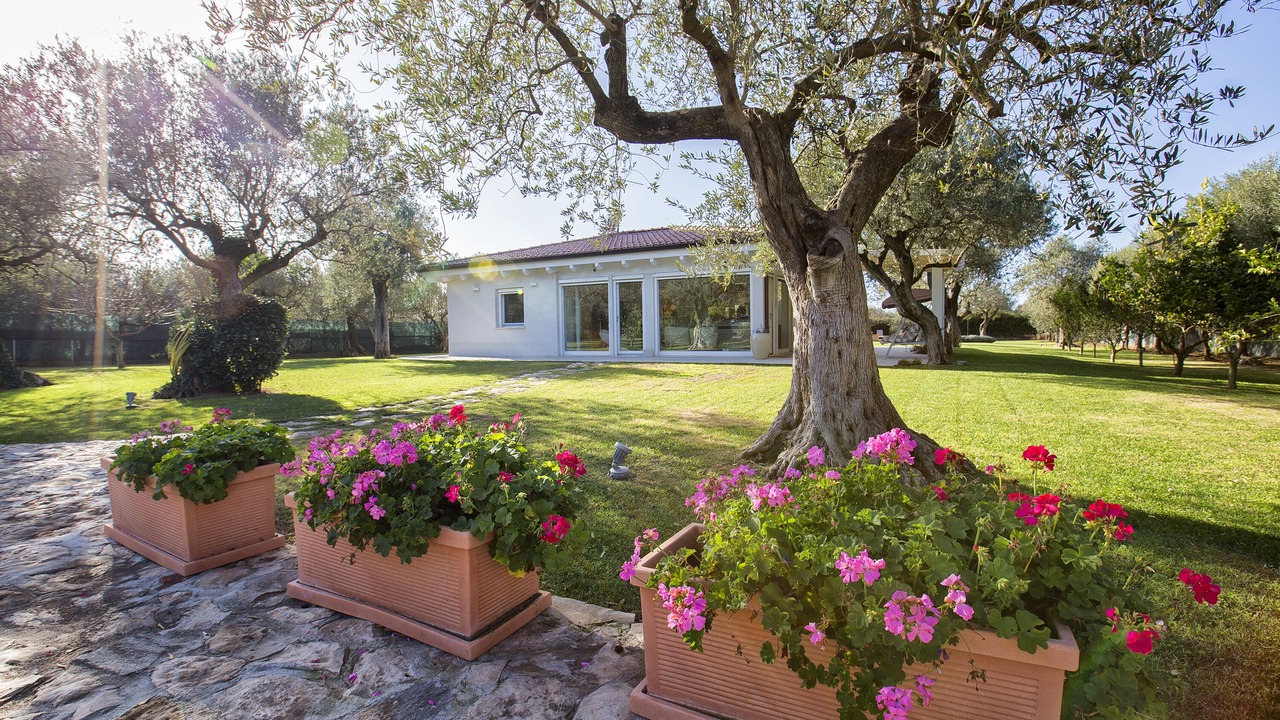 Photo of Outdoor in Alghero