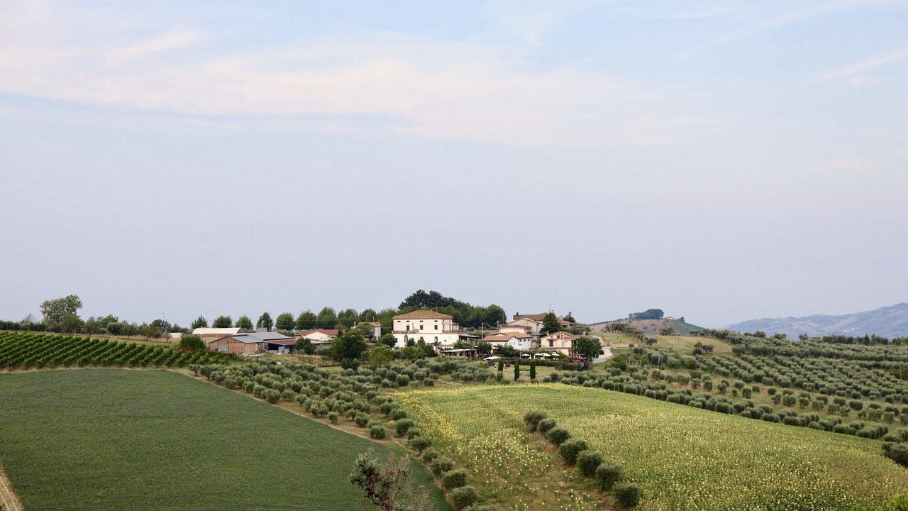 Photo of Others in Torano Nuovo