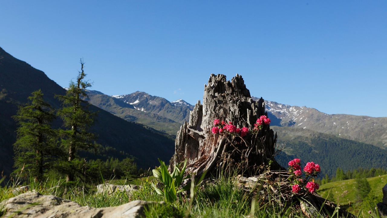 Photo of Outdoor in Rabla