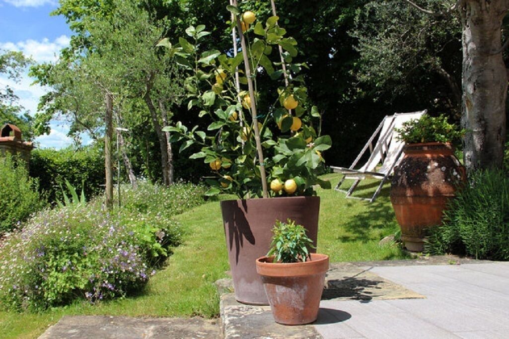 Photo of Outdoor in Greve in Chianti
