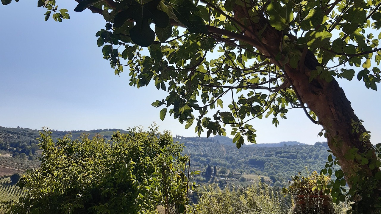 Photo of Outdoor in Greve in Chianti