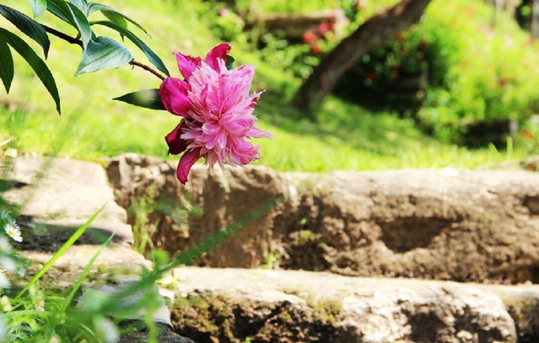 Photo of Outdoor in Greve in Chianti