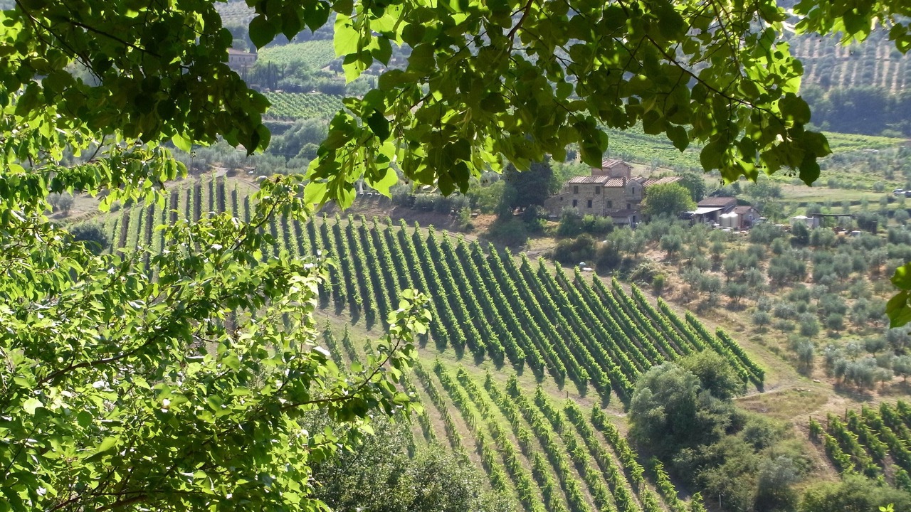 Photo of Outdoor in Greve in Chianti