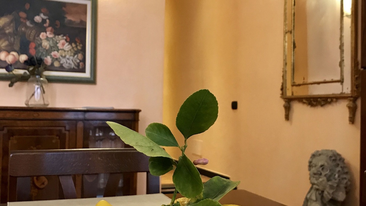 Photo of Livingroom in Borgo Antico