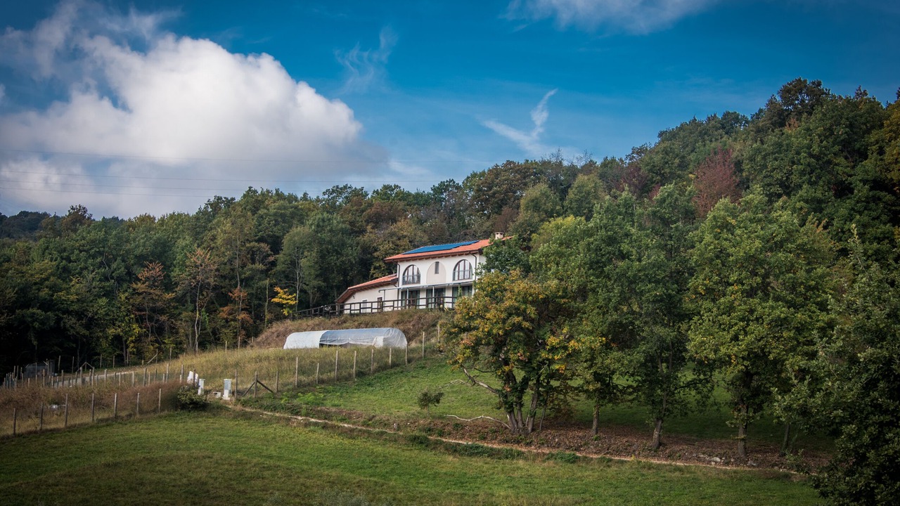 Photo of Outdoor in Baldissero Torinese