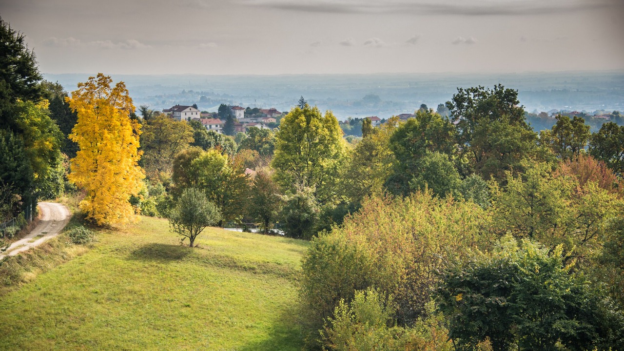 Photo of Outdoor in Baldissero Torinese