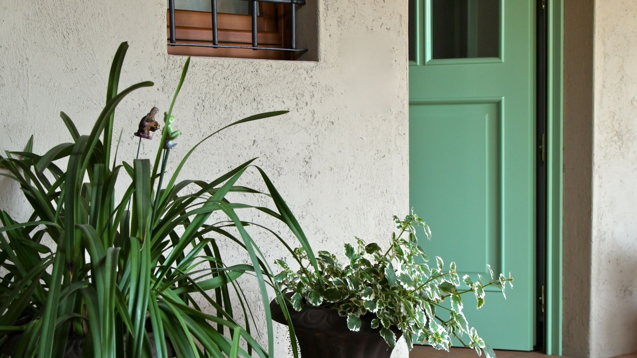 Photo of Outdoor in Roe