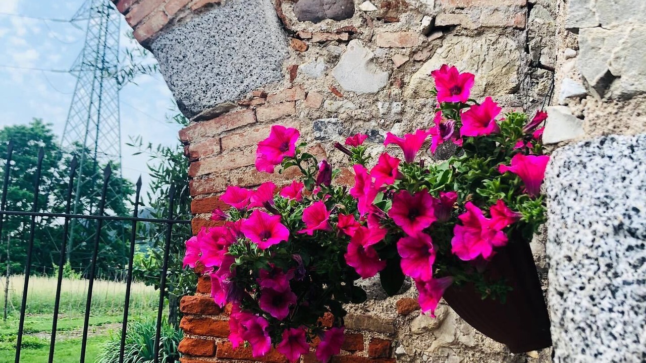 Photo of Outdoor in Roe