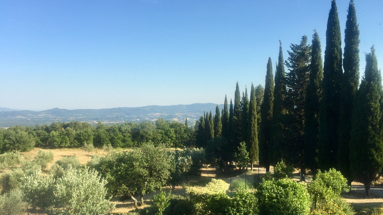 Photo of Outdoor in Loro Ciuffenna