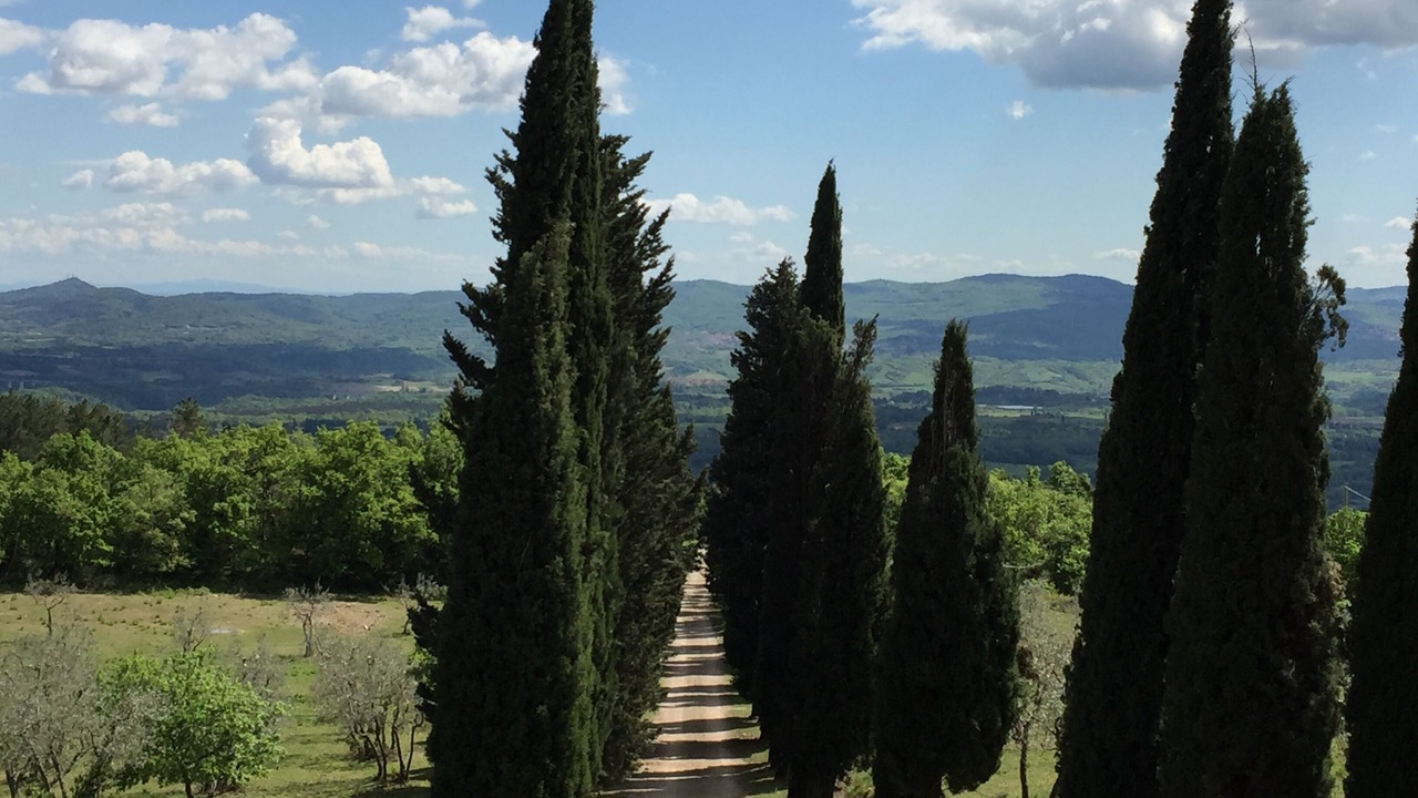 Photo of Outdoor in Loro Ciuffenna