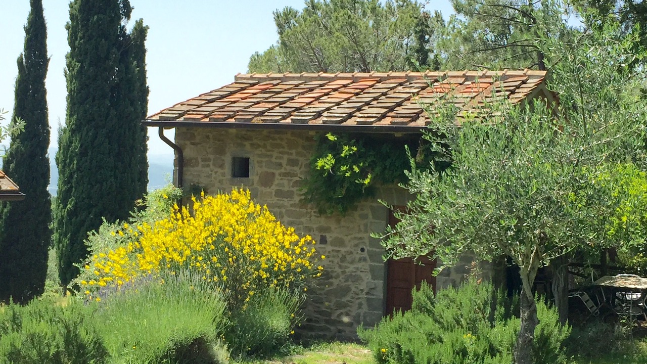 Photo of Outdoor in Loro Ciuffenna