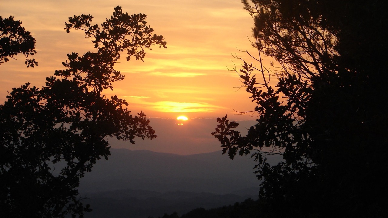 Photo of Others in Loro Ciuffenna