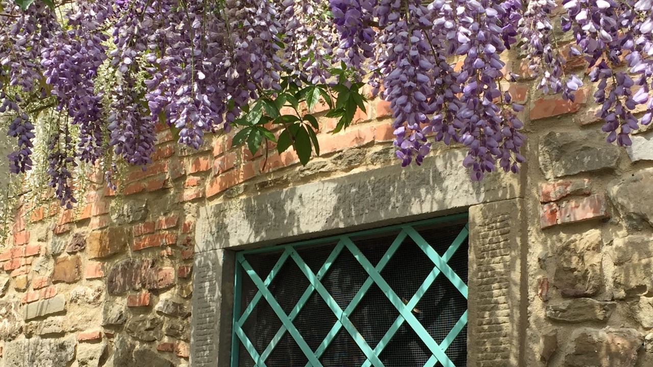 Photo of Outdoor in Loro Ciuffenna