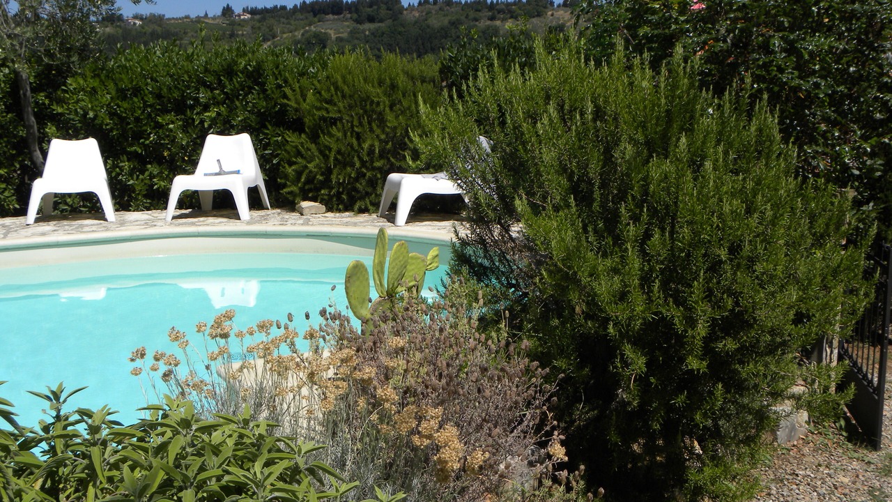 Photo of Outdoor in Magliano