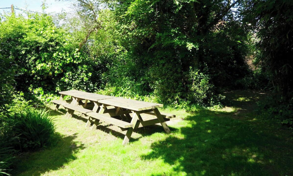 Photo of Outdoor in New Forest District