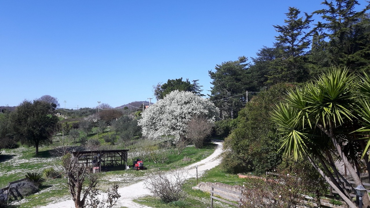 Photo of Outdoor in Lake Bracciano