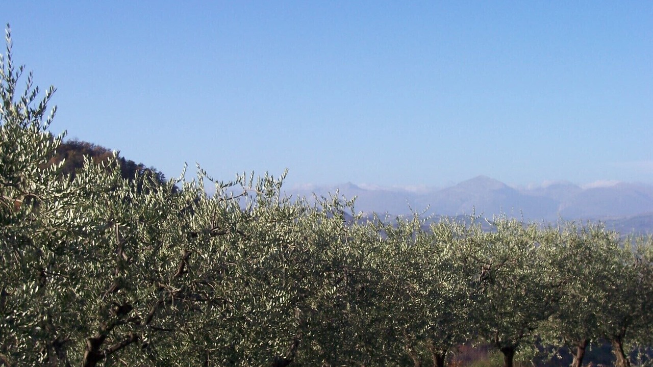Photo of Outdoor in Montalto delle Marche