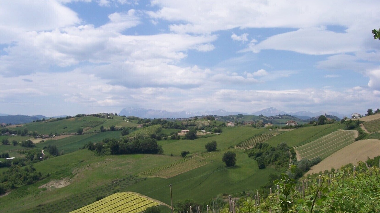Photo of Others in Montalto delle Marche