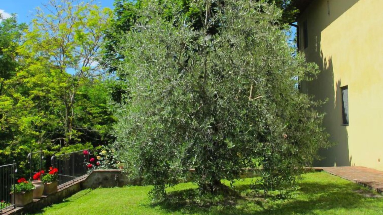 Photo of Others in San Giovanni Valdarno