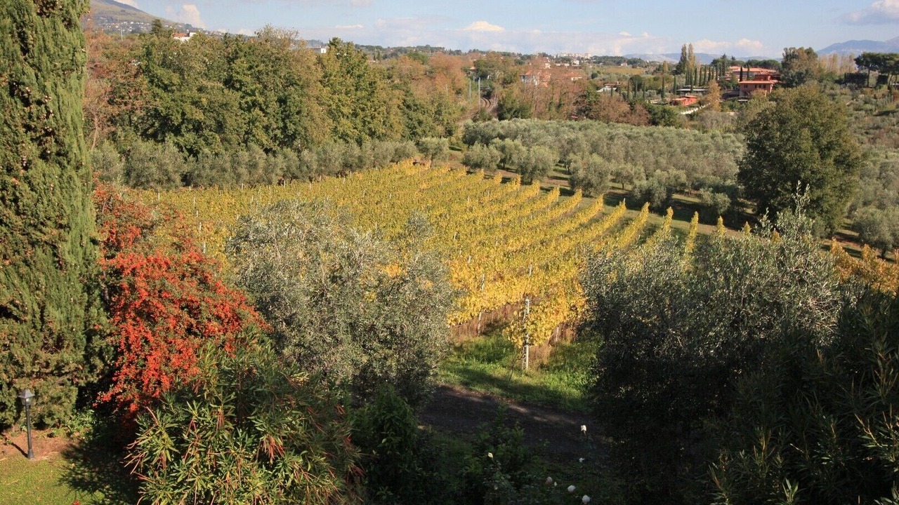 Photo of Outdoor in Genzano di Roma