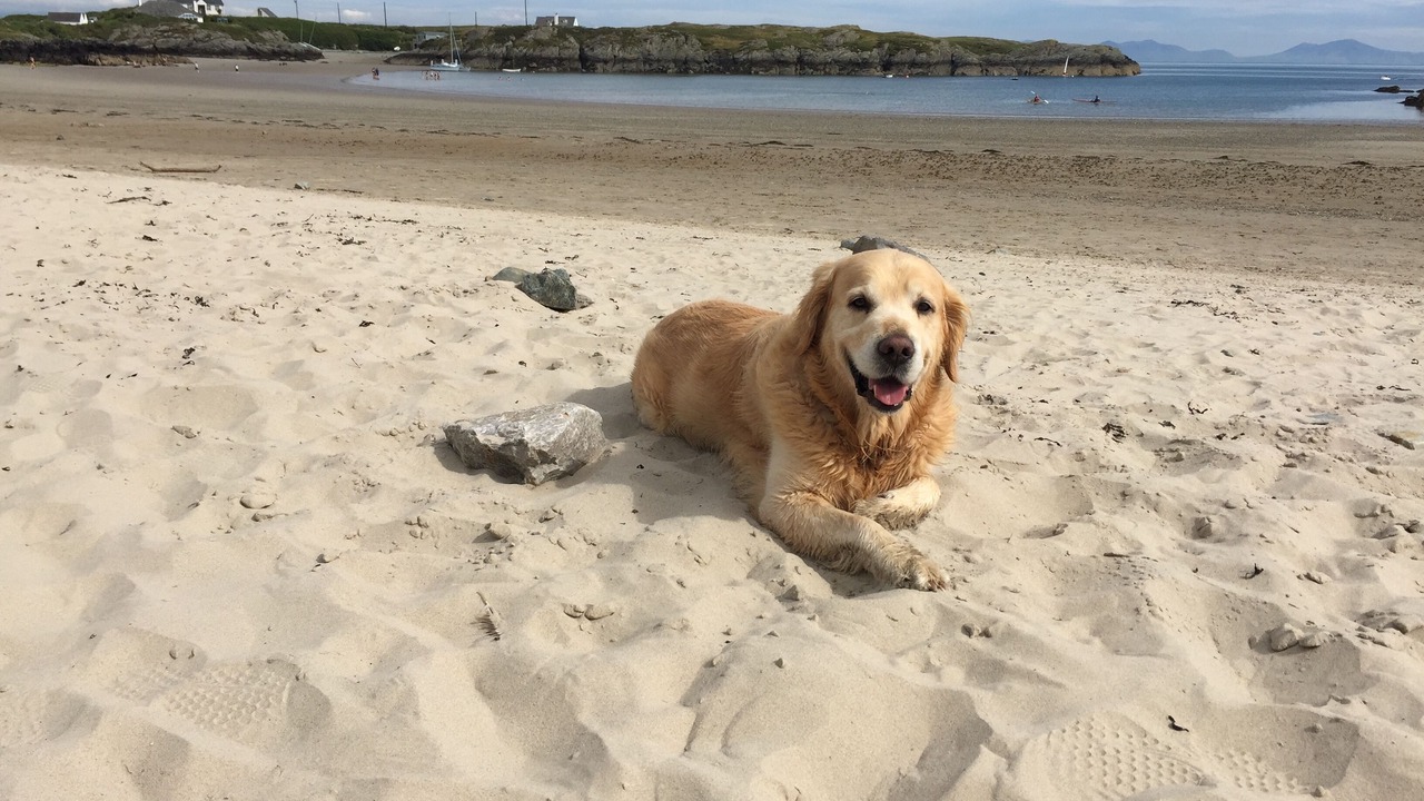 Photo of Others in Rhoscolyn
