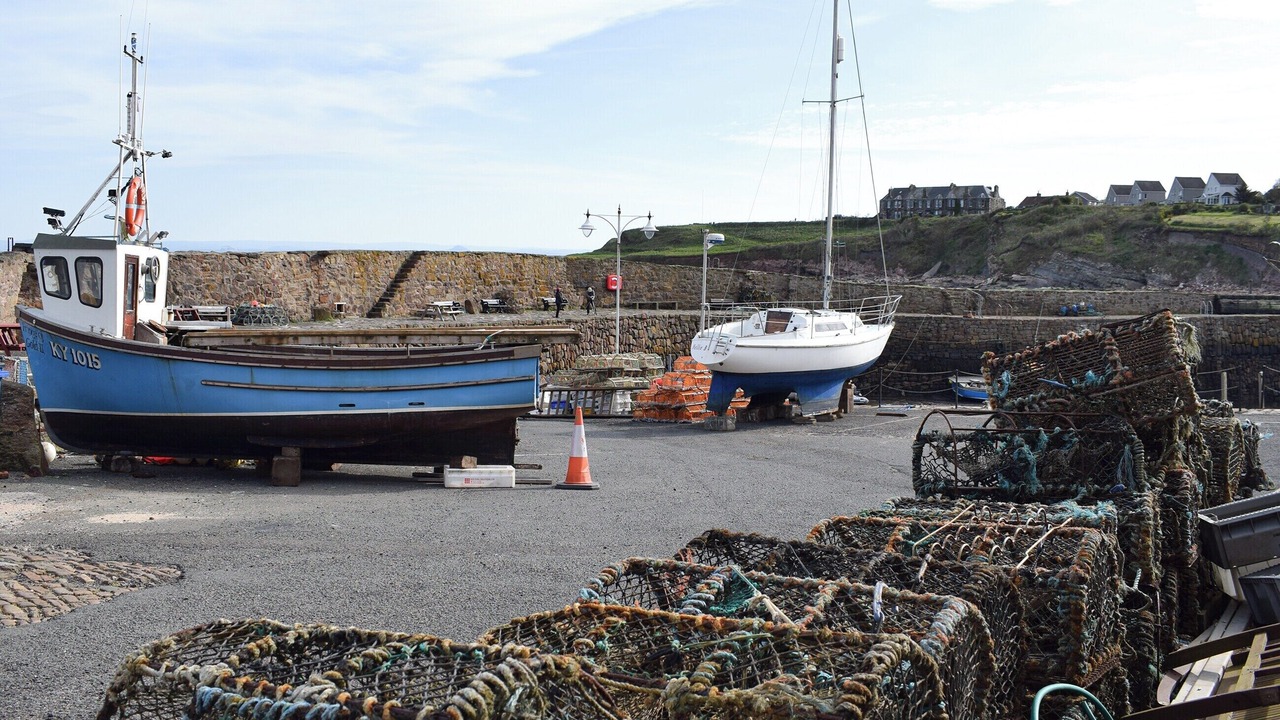Photo of Others in Crail