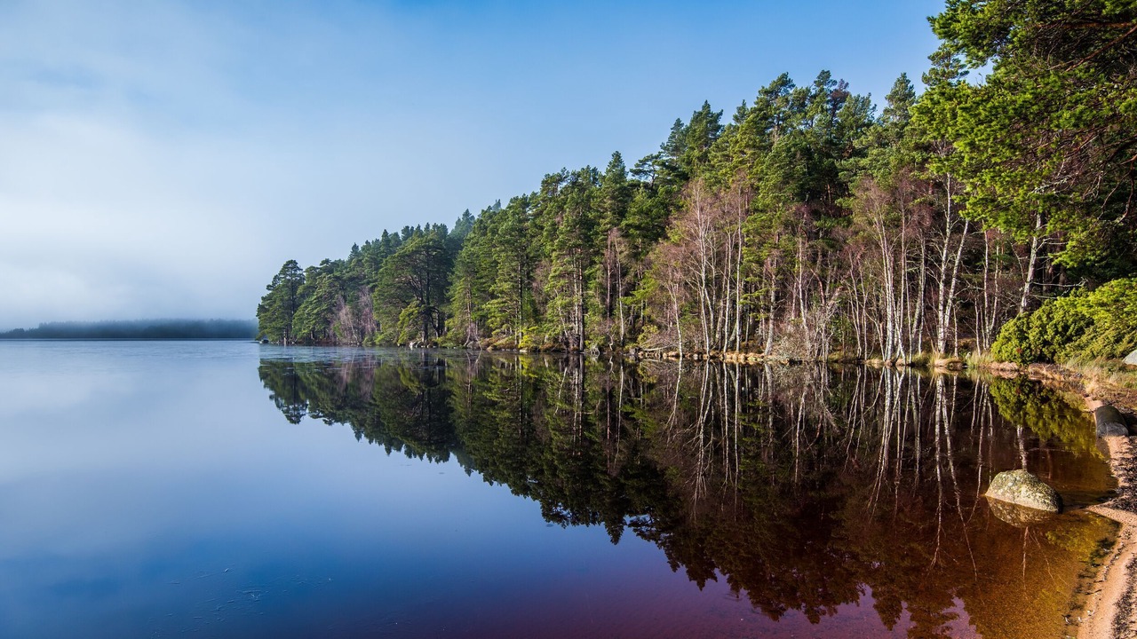Photo of Outdoor in Alvie