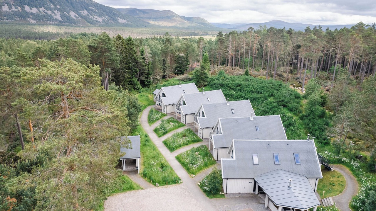 Photo of Outdoor in Alvie