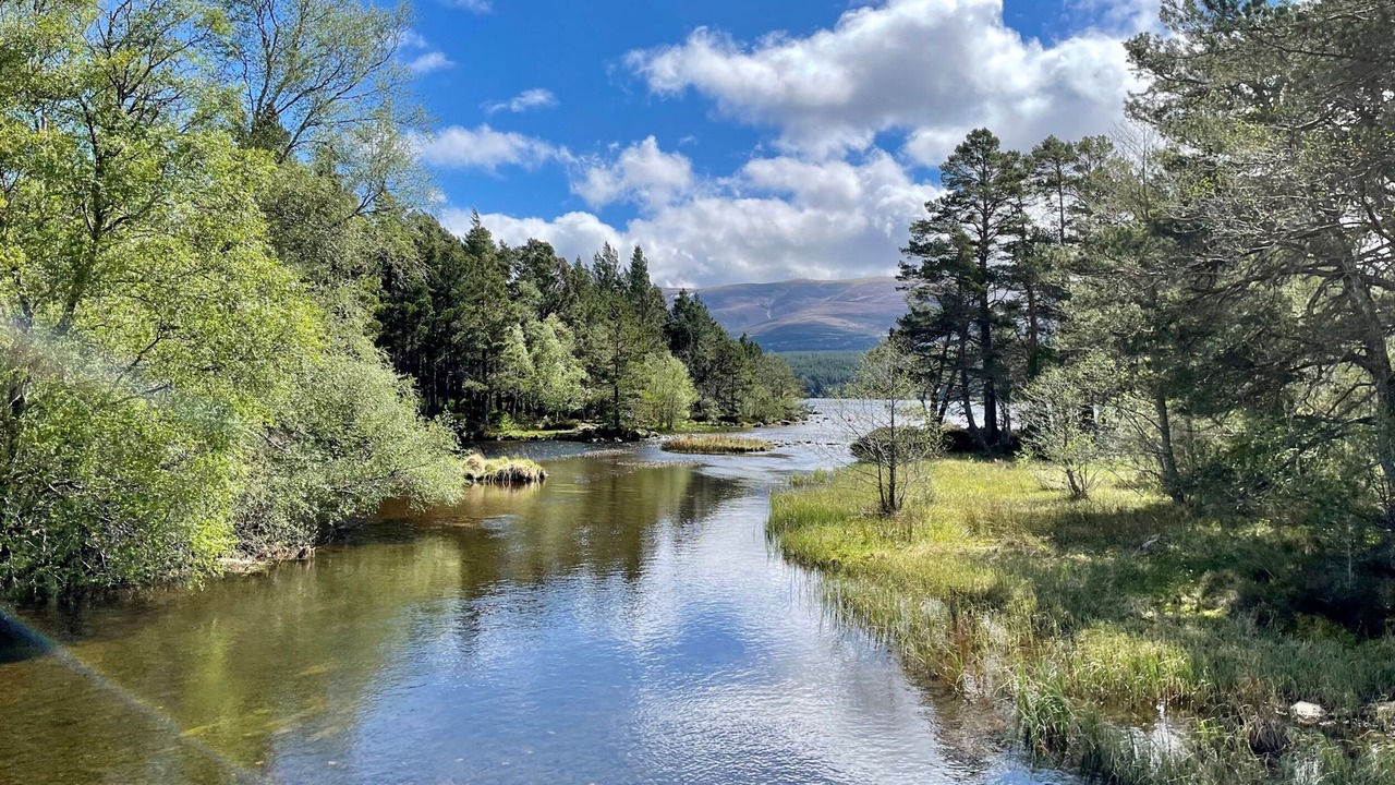 Photo of Outdoor in Alvie