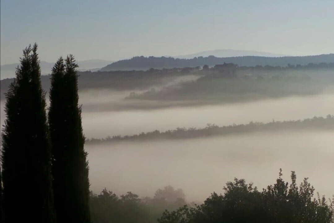 Photo of Others in Pergine Valdarno