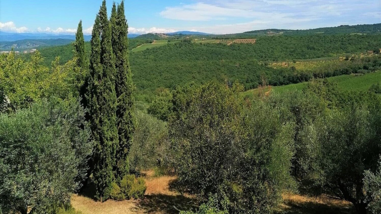 Photo of Others in Pergine Valdarno