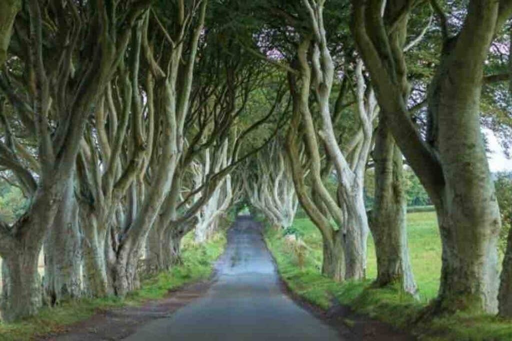 Photo of Outdoor in Garvagh
