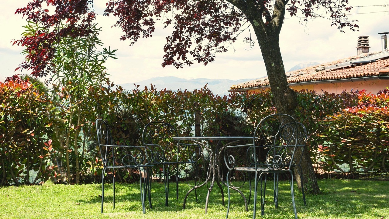 Photo of Outdoor in Mologno