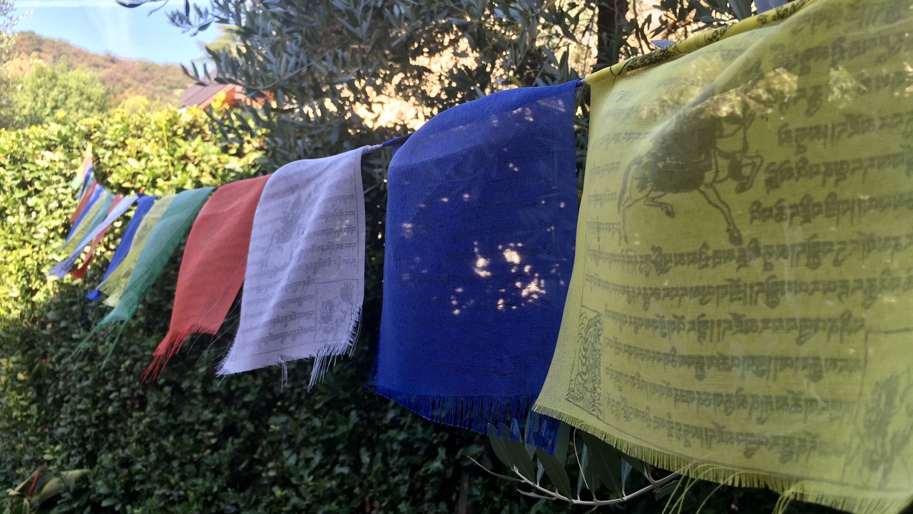 Photo of Outdoor in Lonato del Garda