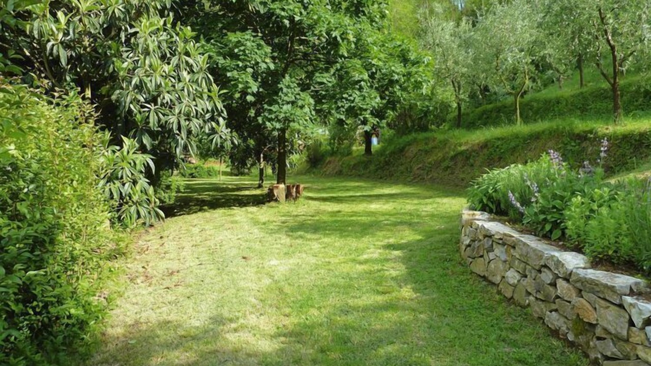 Photo of Outdoor in Ripafratta