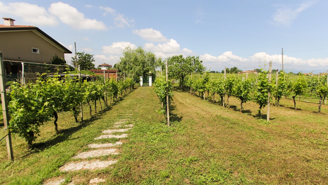 Photo of Outdoor in San Benedetto di Lugana