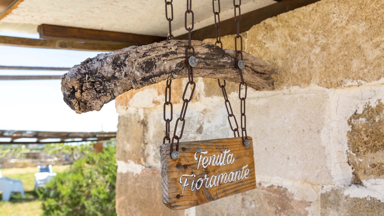Photo of Outdoor in Torre Lapillo