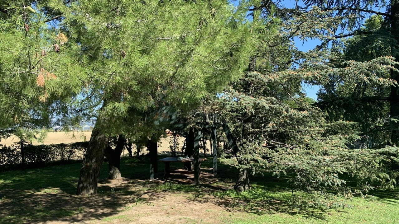 Photo of Others in Ginestreto