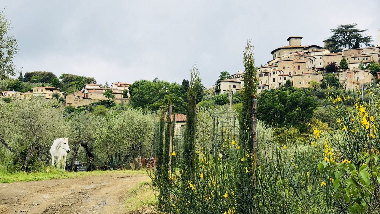 Photo of Outdoor in Montegonzi