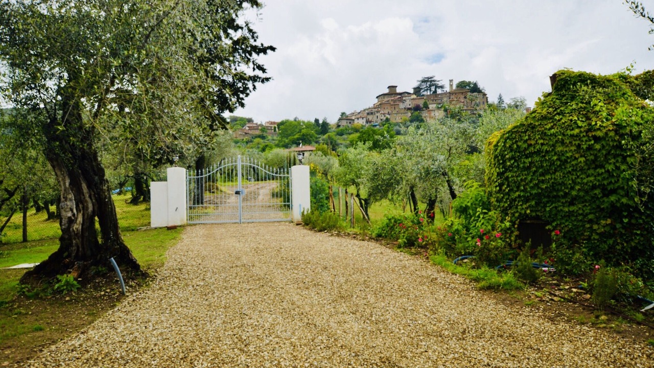 Photo of Outdoor in Montegonzi
